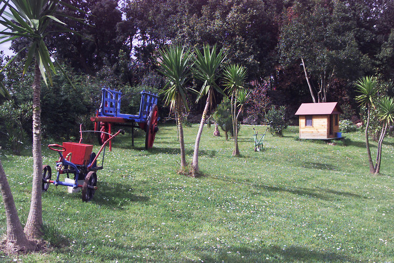 Hotel Foto Servicio