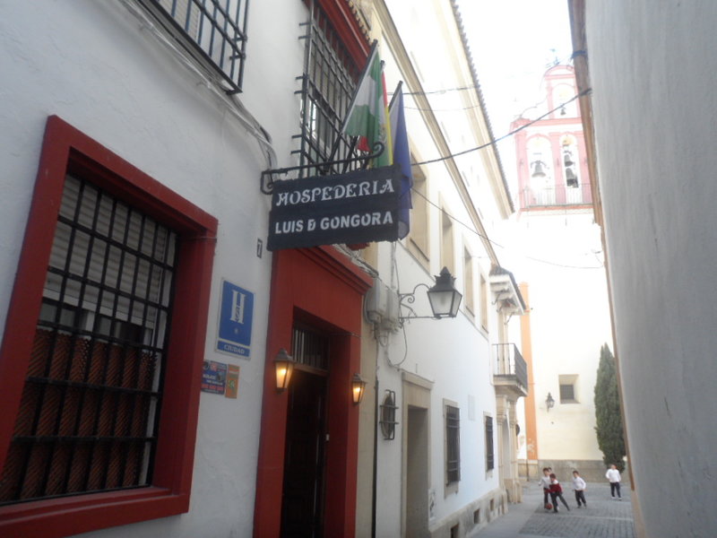 Hotel Foto Servicio