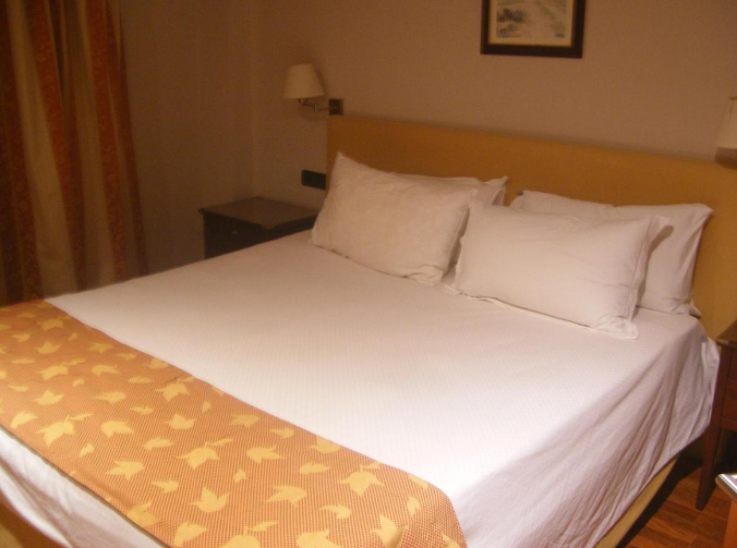 Hotel Carlos V Málaga