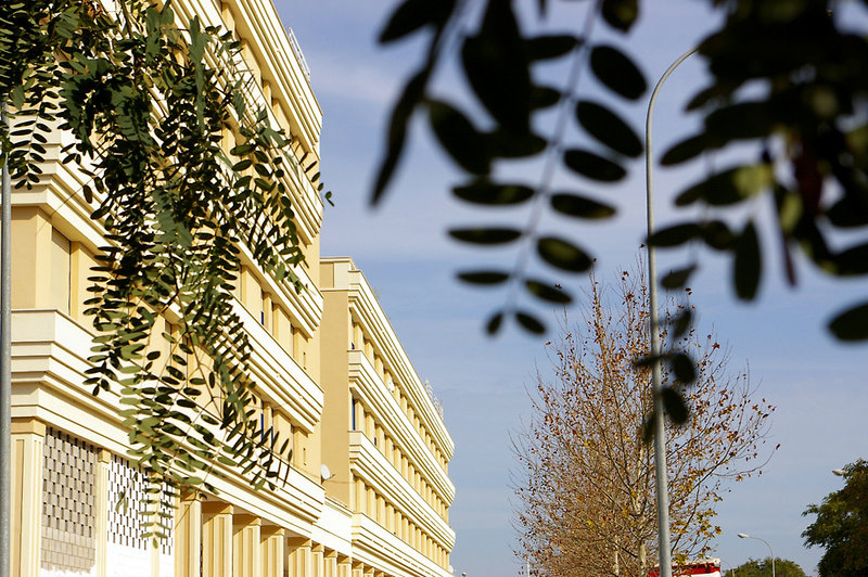 Hotel Foto Servicio