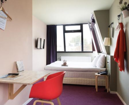 The Neighbour's Magnolia