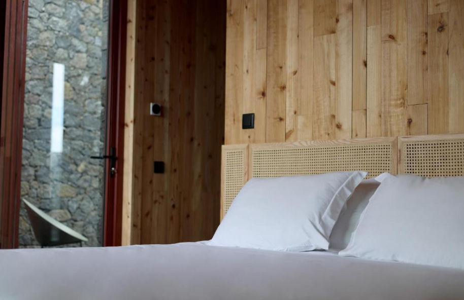 Hotel Pico Vineyards